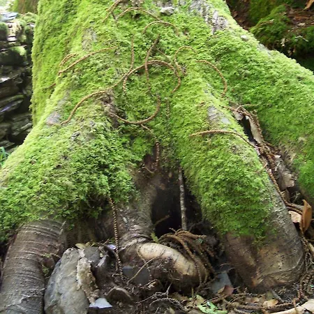 بيت ضيافة Casa Manolo *