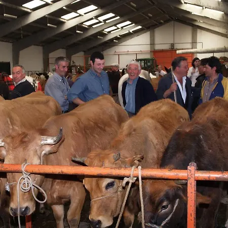 بيت ضيافة Casa Manolo